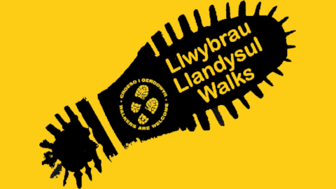 Llandysul Walks Logo